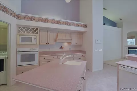 305 E Joplin Ct, Hernando, FL 34442 photo 30