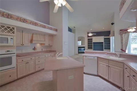 305 E Joplin Ct, Hernando, FL 34442 photo 31