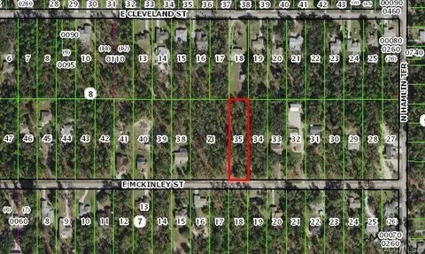 1651 E Mckinley St, Hernando, FL 34442 photo 1