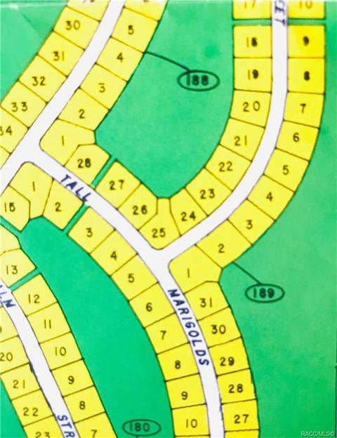18 Lupine St, Homosassa, FL 34446