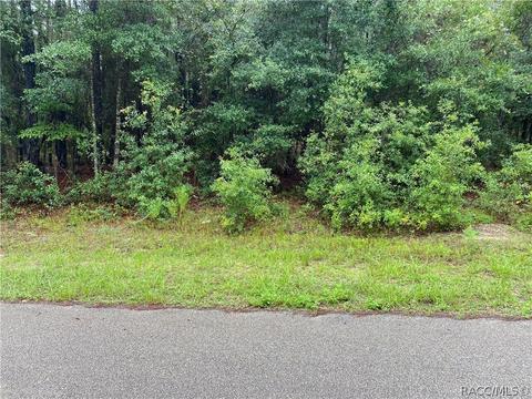 1852 W Stafford St, Hernando, FL 34442 photo 1