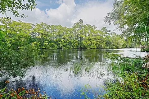 1093 E Withlacoochee Trl, Dunnellon, FL 34434 photo 46