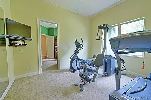 1093 E Withlacoochee Trl, Dunnellon, FL 34434 photo 36