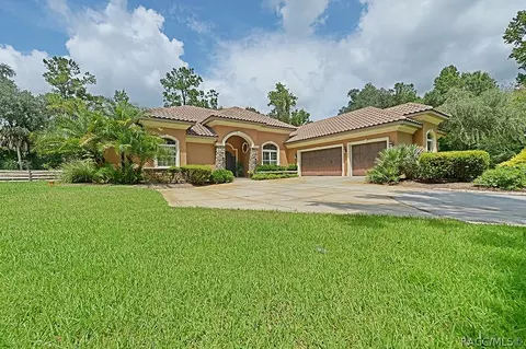 1093 E Withlacoochee Trl, Dunnellon, FL 34434 photo 1