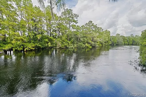 1093 E Withlacoochee Trl, Dunnellon, FL 34434 photo 45
