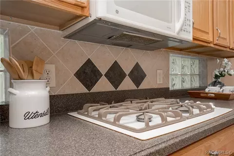 1375 W Crossview Way, Hernando, FL 34442 photo 11