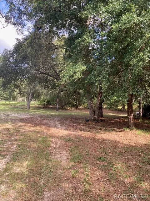 2981 N Page Ave, Hernando, FL 34442 photo 20