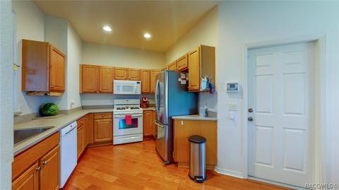 1584 W Spring Meadow Loop, Lecanto, FL 34461 photo 2