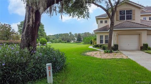 1584 W Spring Meadow Loop, Lecanto, FL 34461 photo 42