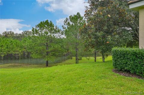 1584 W Spring Meadow Loop, Lecanto, FL 34461 photo 36