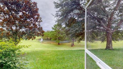 1584 W Spring Meadow Loop, Lecanto, FL 34461 photo 38