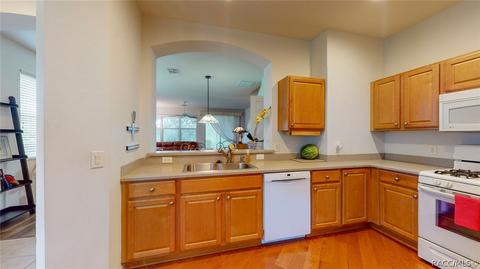 1584 W Spring Meadow Loop, Lecanto, FL 34461 photo 20