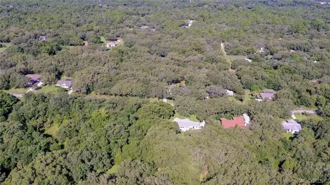 349 N Highview Ave, Hernando, FL 34442 photo 41