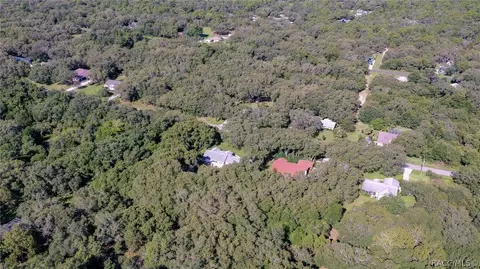 349 N Highview Ave, Hernando, FL 34442 photo 42