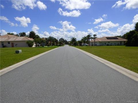203 W Mickey Mantle Path Path, Hernando, FL 34442 photo 5