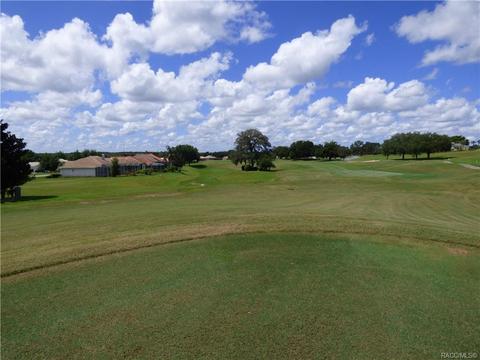 203 W Mickey Mantle Path Path, Hernando, FL 34442 photo 4
