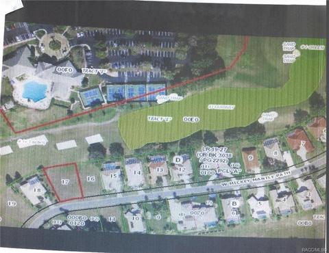 203 W Mickey Mantle Path Path, Hernando, FL 34442 photo 1