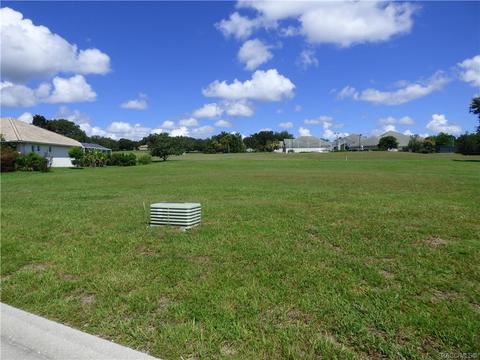 203 W Mickey Mantle Path Path, Hernando, FL 34442 photo 2