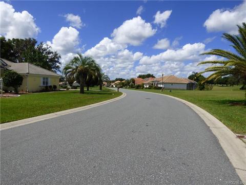 203 W Mickey Mantle Path Path, Hernando, FL 34442 photo 6