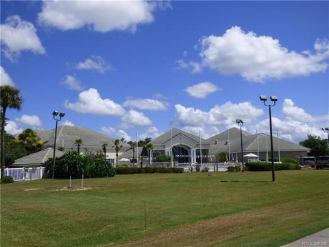 203 W Mickey Mantle Path Path, Hernando, FL 34442 photo 7