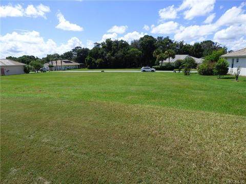 203 W Mickey Mantle Path Path, Hernando, FL 34442 photo 3