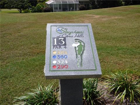 203 W Mickey Mantle Path Path, Hernando, FL 34442 photo 8