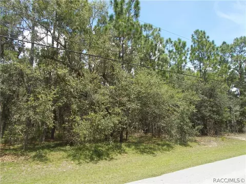 545 W Pearson St, Hernando, FL 34442 photo 8
