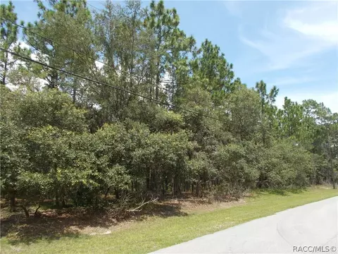 545 W Pearson St, Hernando, FL 34442 photo 5