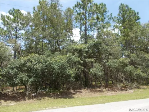 545 W Pearson St, Hernando, FL 34442 photo 4