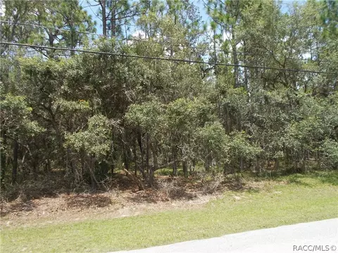 545 W Pearson St, Hernando, FL 34442 photo 6