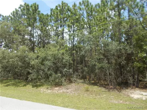 545 W Pearson St, Hernando, FL 34442 photo 1