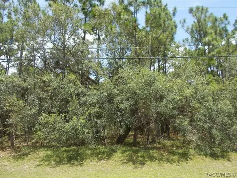 545 W Pearson St, Hernando, FL 34442 photo 3