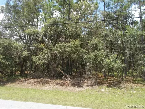 545 W Pearson St, Hernando, FL 34442 photo 7