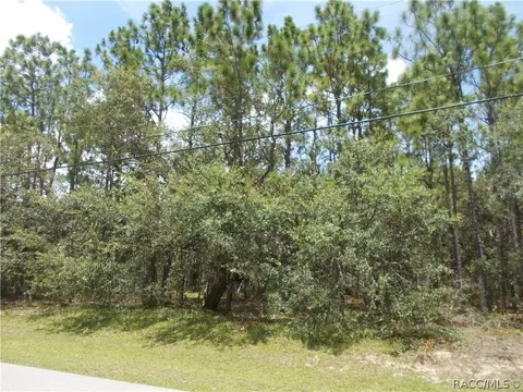 545 W Pearson St, Hernando, FL 34442 photo 2