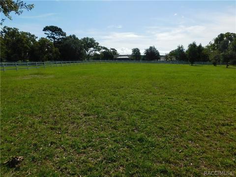 1427 N Hambletonian Dr, Hernando, FL 34442 photo 5