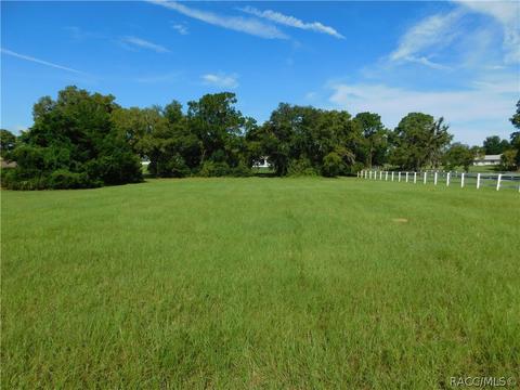 1427 N Hambletonian Dr, Hernando, FL 34442 photo 7
