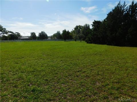 1427 N Hambletonian Dr, Hernando, FL 34442 photo 6