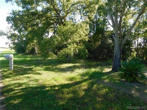 1427 N Hambletonian Dr, Hernando, FL 34442 photo 2