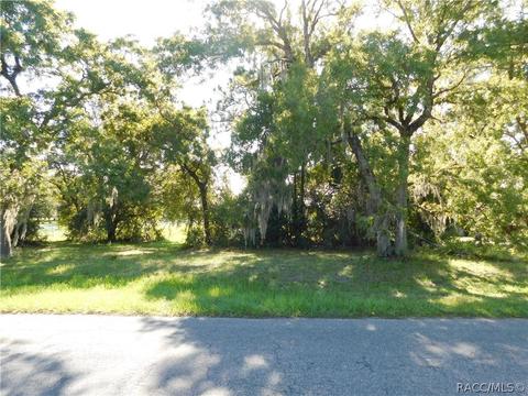 1427 N Hambletonian Dr, Hernando, FL 34442 photo 3