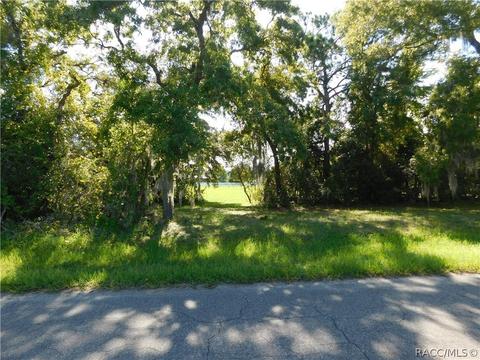 1427 N Hambletonian Dr, Hernando, FL 34442 photo 1