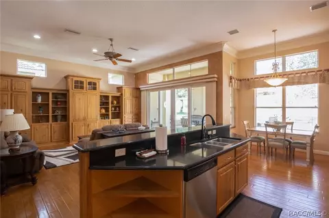 1733 N Sky Glen Path, Hernando, FL 34442 photo 33