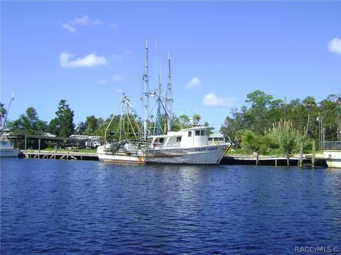 6319 W Glynborne Loop, Crystal River, FL 34429 photo 29