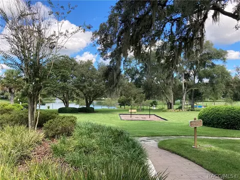 6319 W Glynborne Loop, Crystal River, FL 34429 photo 24