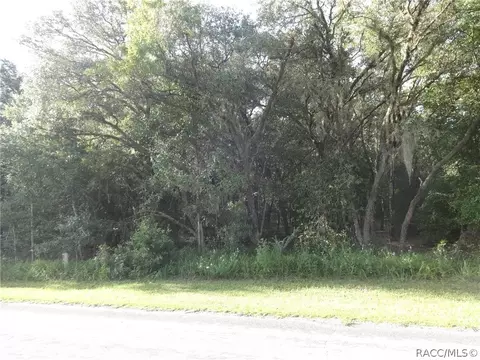 306 W National St, Hernando, FL 34442 photo 1