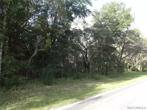 306 W National St, Hernando, FL 34442 photo 5