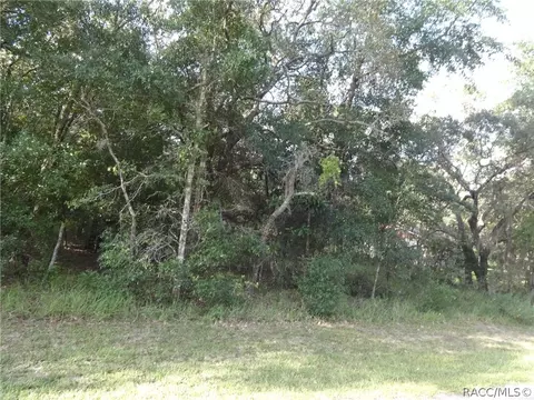 306 W National St, Hernando, FL 34442 photo 4