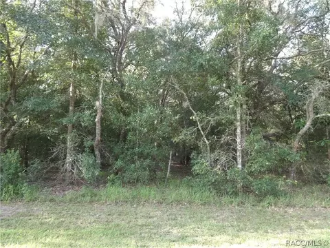 306 W National St, Hernando, FL 34442 photo 2