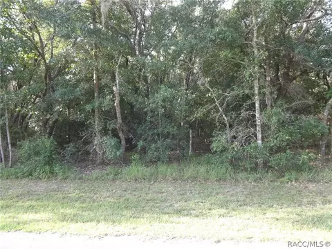 306 W National St, Hernando, FL 34442 photo 3