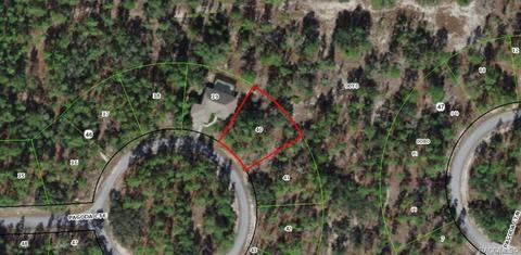 16 Pagoda Ct E, Homosassa, FL 34446