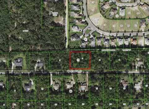 1213 W Olympia St, Hernando, FL 34442 photo 1